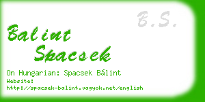 balint spacsek business card