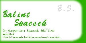 balint spacsek business card